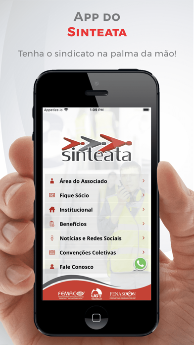 Sinteata Screenshot