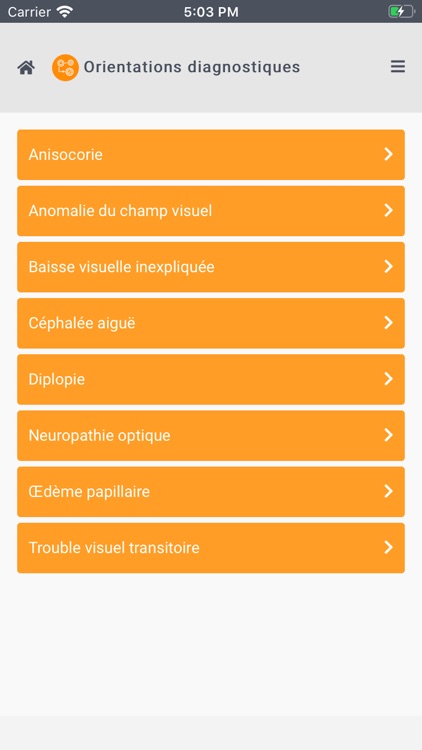Neuro-Ophtalmologie Pratique