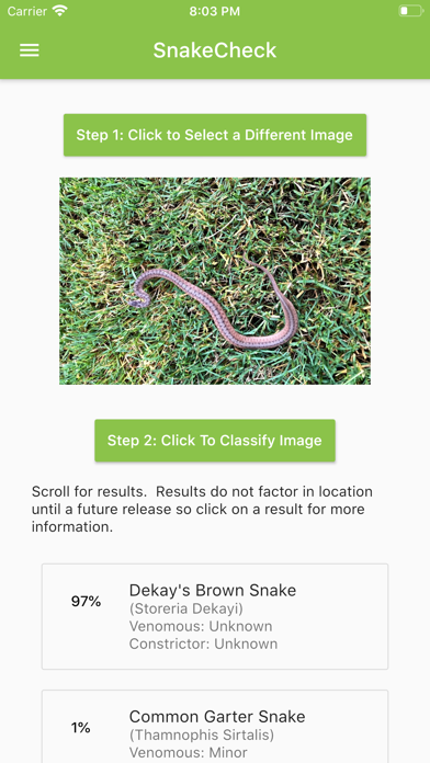 SnakeCheck Screenshot