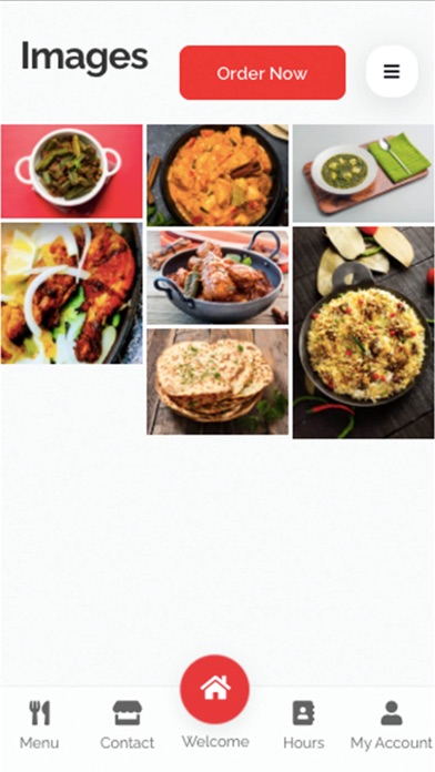 Masala Twist USA Screenshot