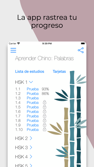 Aprender Chino: Palabras Screenshot