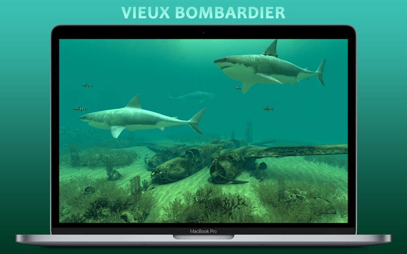 Screenshot #2 pour Requins 3D