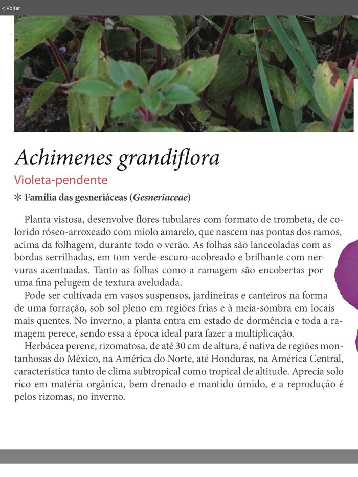 Enciclopédia Natureza