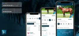 Game screenshot Horsiz apk