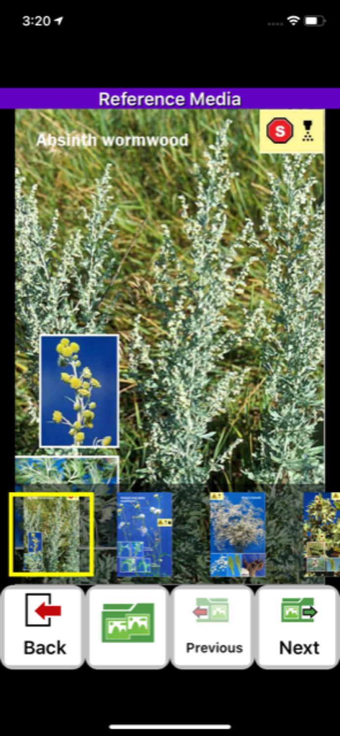 Krinkle Environmental