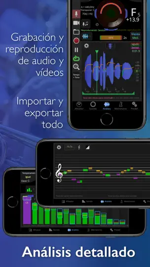 Captura de pantalla de TonalEnergy Afinador Y Metróno en iPhone 2