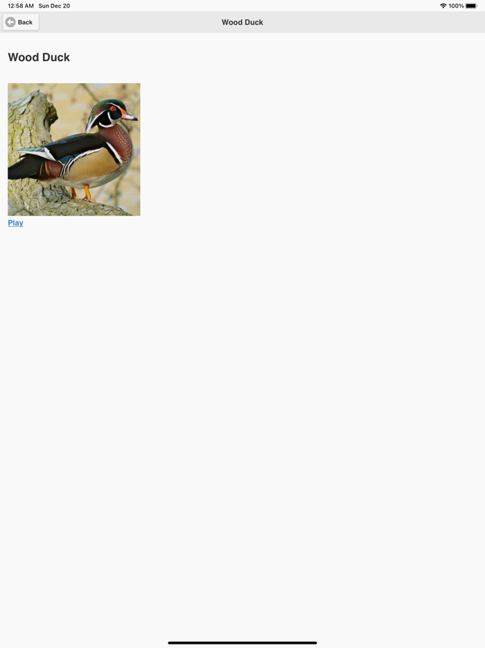 Kootenay BIrd Sounds