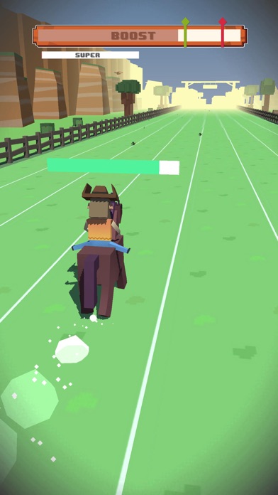 Horse Rush 3D Screenshot