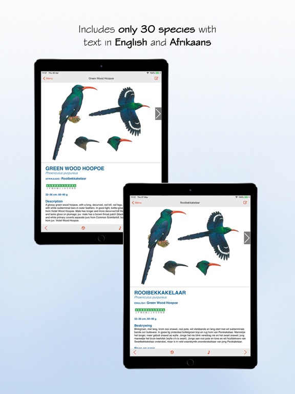 Screenshot #6 pour Sasol eBirds South Africa LITE