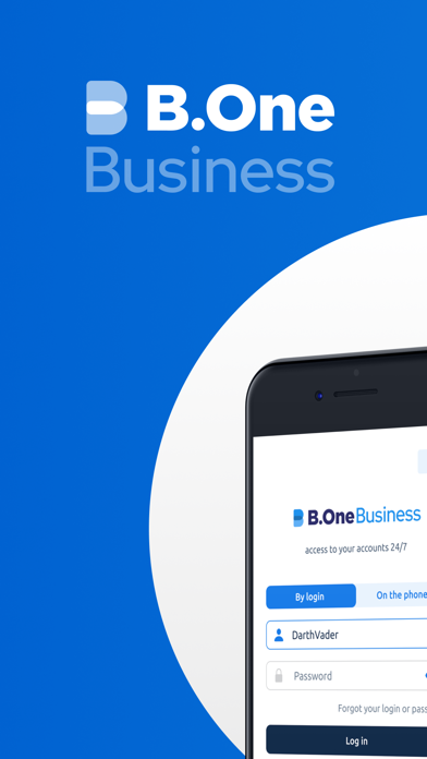 bone SME online banking Screenshot