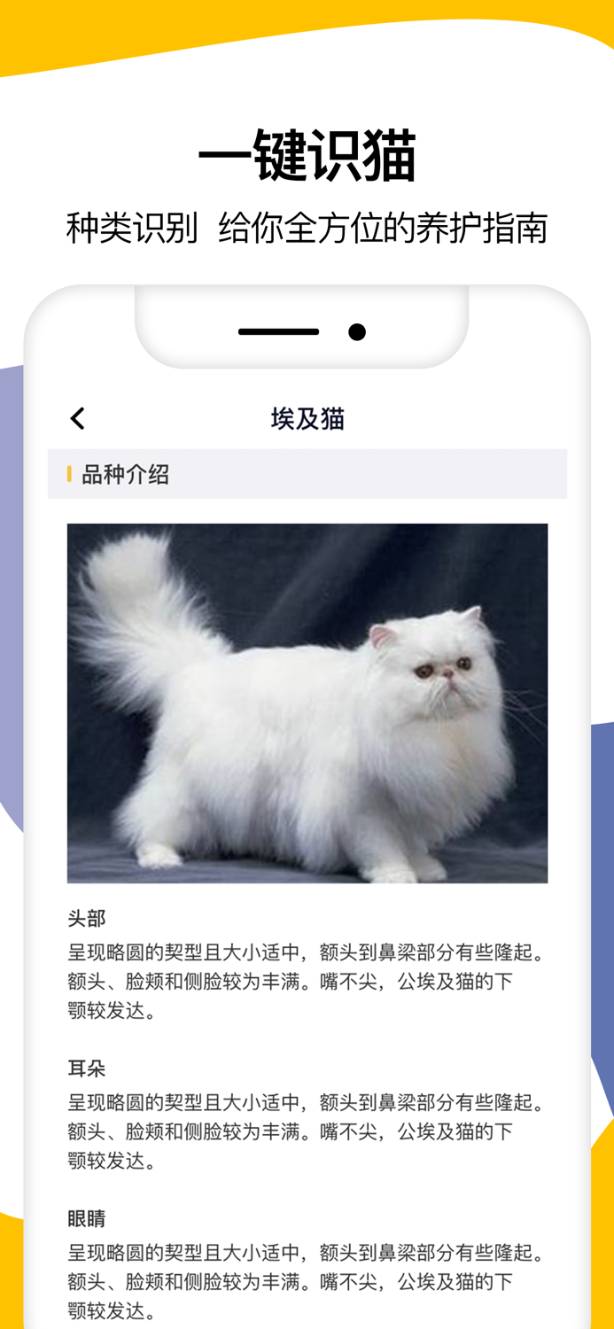 猫语翻译-宠物猫咪翻译器
