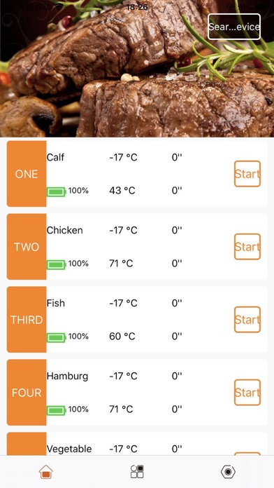 BBQ Thermometer Screenshot