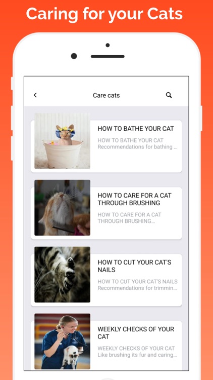 pet games and pet care screenshot-6