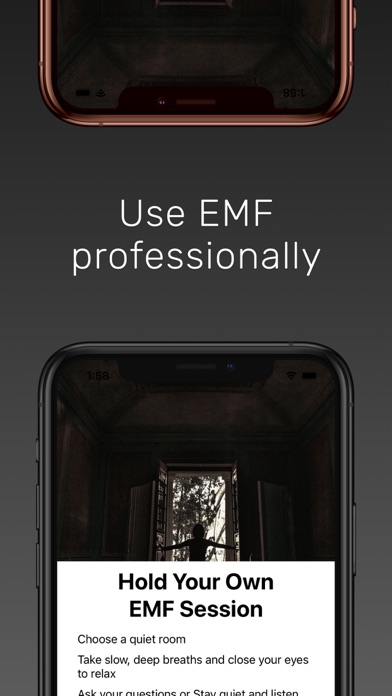 Ghost Box - EMF Detector Screenshot