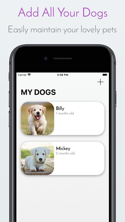 My Dog App - Care my Dog