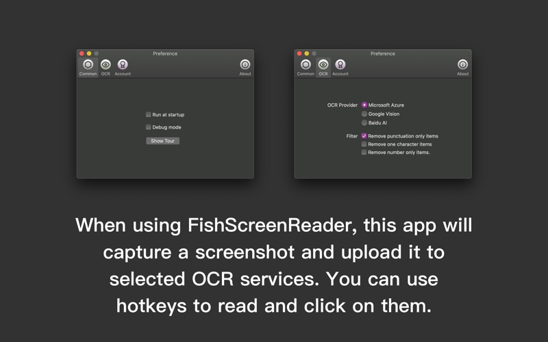 Screenshot #3 pour FishScreenReader