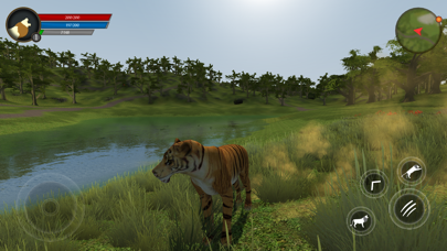 Asian Tiger Survival Simulator Screenshot