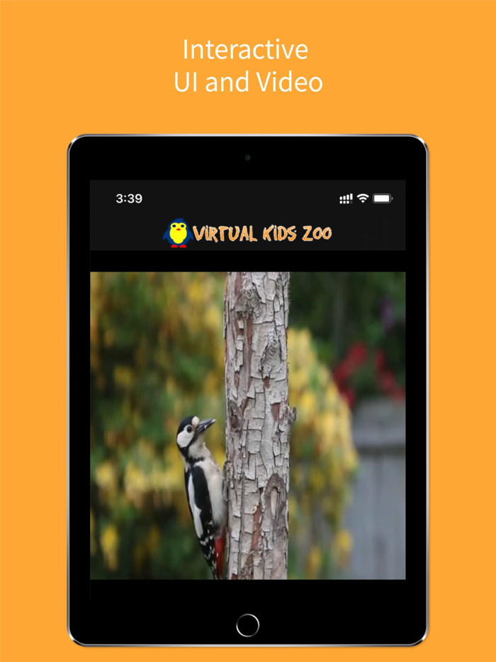 Virtual Kids Zoo