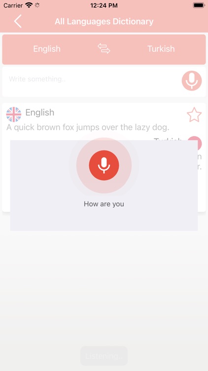All Languages Voice Dictionary screenshot-3