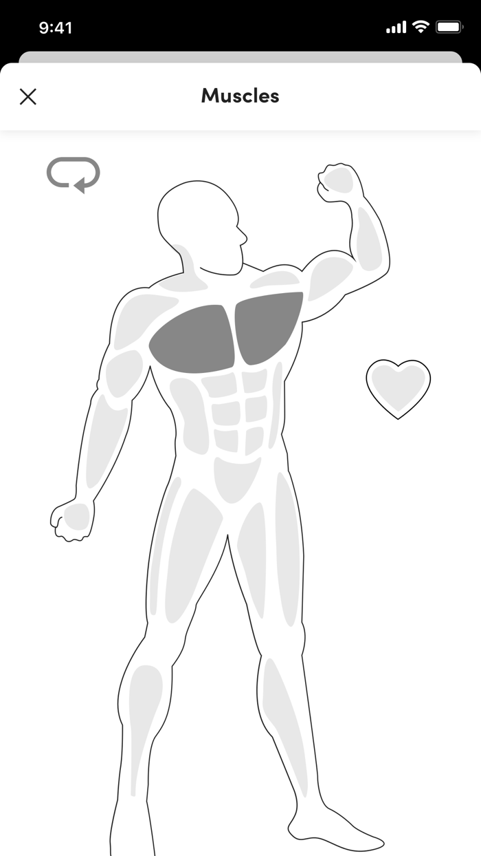 HerBody-Frauen Fitness Club