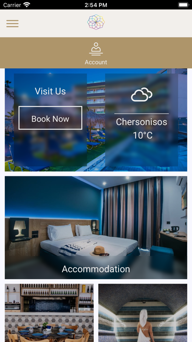 Infinity Hotels Screenshot