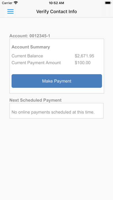 Seidberg Law Screenshot