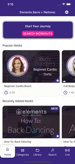Game screenshot Elements Barre + Wellness apk