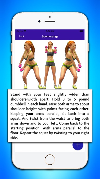 Aerobics Exercise 30 Days Plan Screenshot