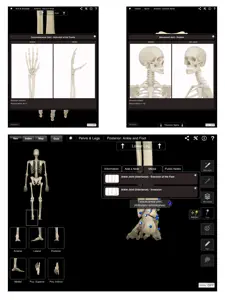 Skeleton System Pro III screenshot #2 for iPad