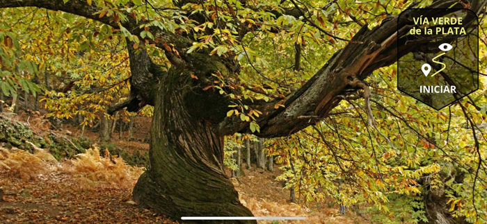 VIA VERDE DE LA PLATA...