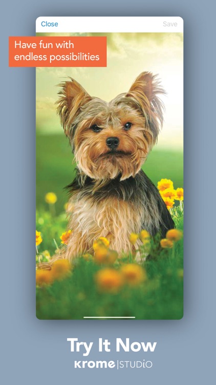 Krome Studio screenshot-8