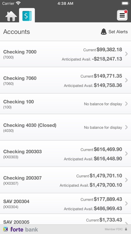 Forte Bank Biz Mobile Banking screenshot-3