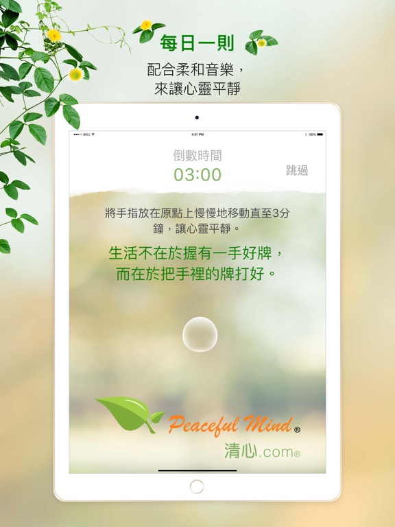 Screenshot #4 pour Peaceful Mind