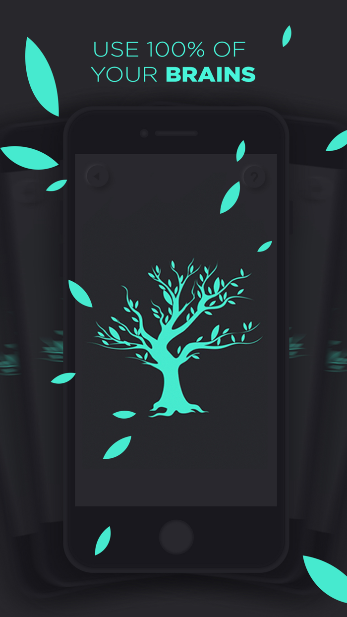 Mint Brain smart logic game