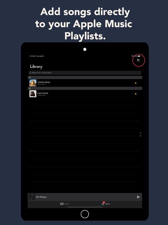 Palette-Music iPad screenshot 5 - Music app