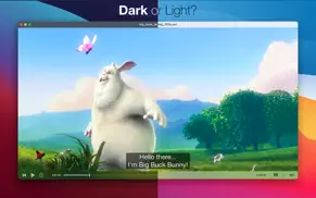 playr iphone resimleri 4