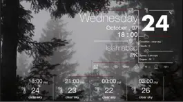 Game screenshot Weather Forecast: Themes in 4K apk