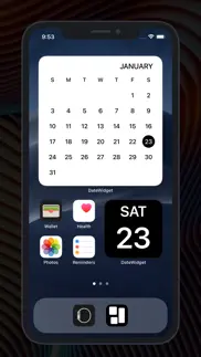 datewidget iphone screenshot 2