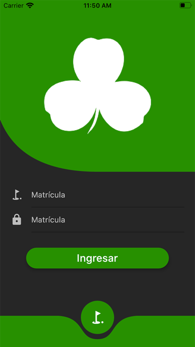 San Patricio Golf Screenshot