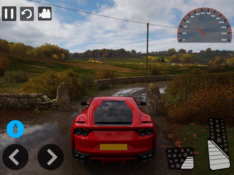 Juegos de Carreras Sim 21 screenshot 6