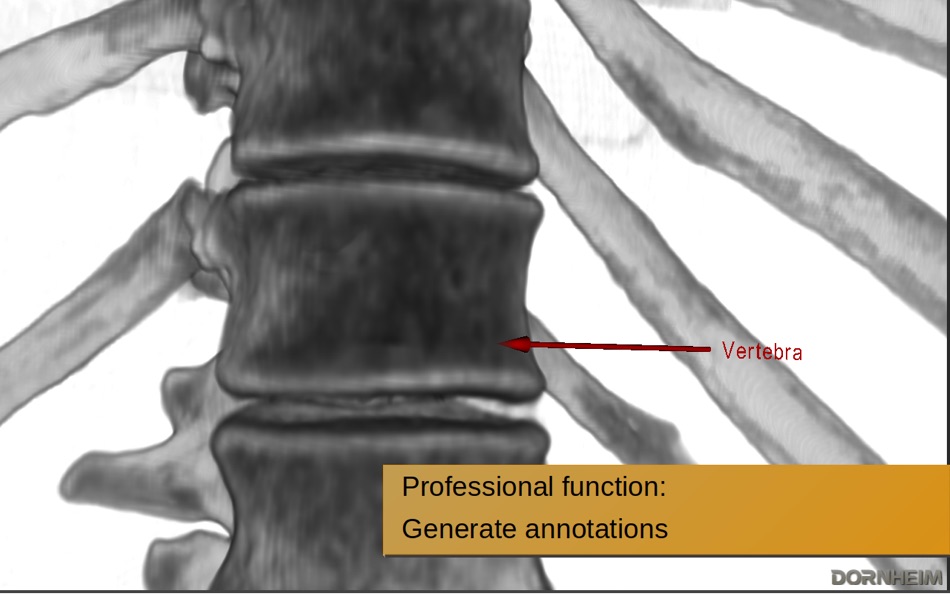 #5. Dornheim Viewer (macOS) By: Dornheim Medical Images GmbH