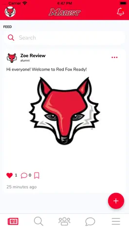 Game screenshot Red Fox Ready apk