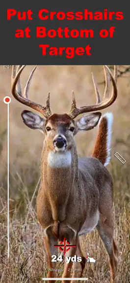 Game screenshot RangeFinder for Bowhunting apk