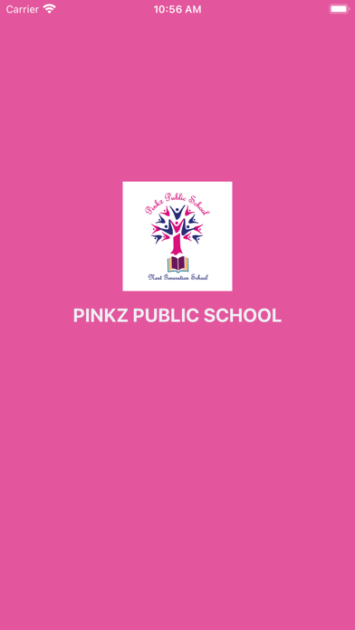 PINKZ PUBLIC SCHOOL Screenshot