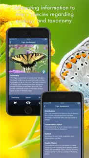 butterfly id - uk field guide problems & solutions and troubleshooting guide - 1