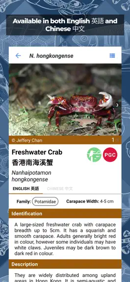 Game screenshot Freshwater Species: Hong Kong hack