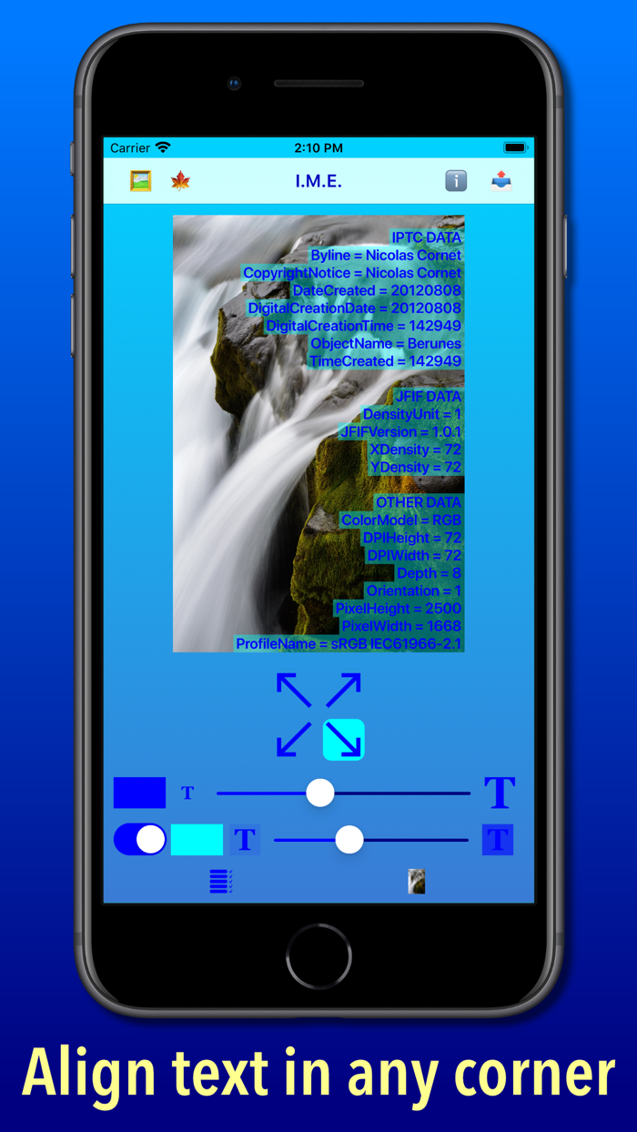 Image Metadata Explorer