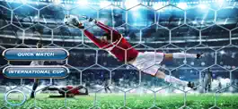 Game screenshot Nurex soccer : football 3d mod apk