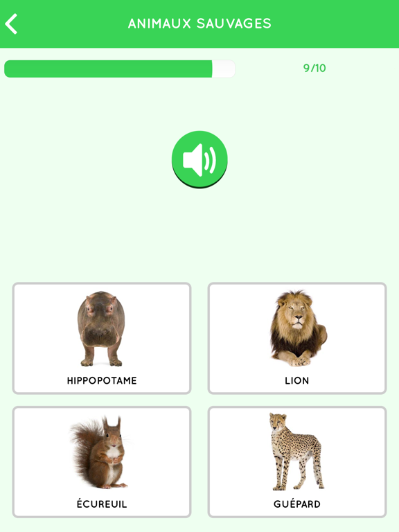 Learn French for beginners screenshot 2