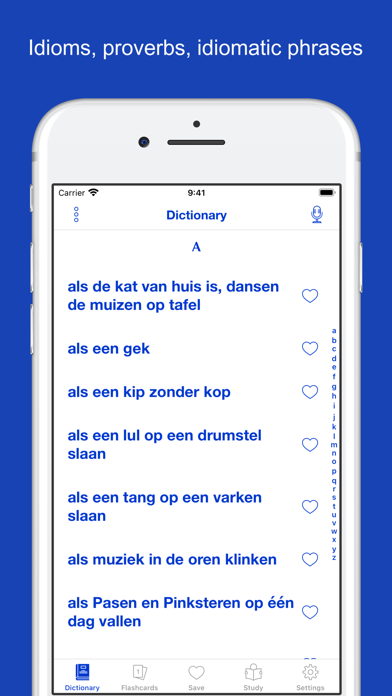 Dutch Idioms and Proverbs Screenshot